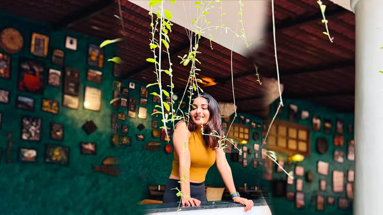 పవన్ కళ్యాణ్ వకీల్ సాబ్ సినిమాలో ఛాన్స్ కొట్టేసి, అందులో ఓ అమాయకపు అమ్మాయి పాత్రలో నటించి, తన నటనతో ఎంతో మదిని ఆకట్టుకుంది. ఏ మూవీతో రానీ క్రేజ్ ఈ అమ్మడుకు వకీల్ సాబ్‌తో వచ్చిందని చెప్పవచ్చు. ఇక ఈ మూవీ తర్వాత అనన్య  లైఫ్ టర్న్ అయ్యిందనే చెప్పాలి.