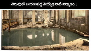 Viral Video: చూస్తుండగానే చిన్నారిపై కుక్క దాడి.. క్షణాల్లో కాపాడిన తల్లి.. వీడియో వైరల్‌