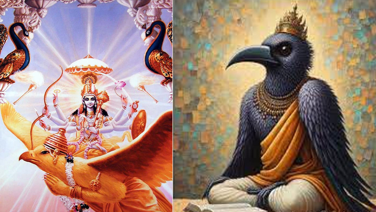 Ancient Time traveller: రామాయణ, మహాభారత యుగాలకు సాక్షి కాగ్భూషుండి.. పూర్వీకులకు, జీవులకు మధ్య వారధి