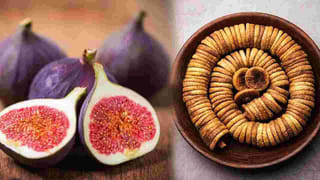 Kids Health: ఈ 7 ఫుడ్స్‌తో మీ పిల్లల మెమొరీ అద్భుతం.. ట్రై చేసేయండి