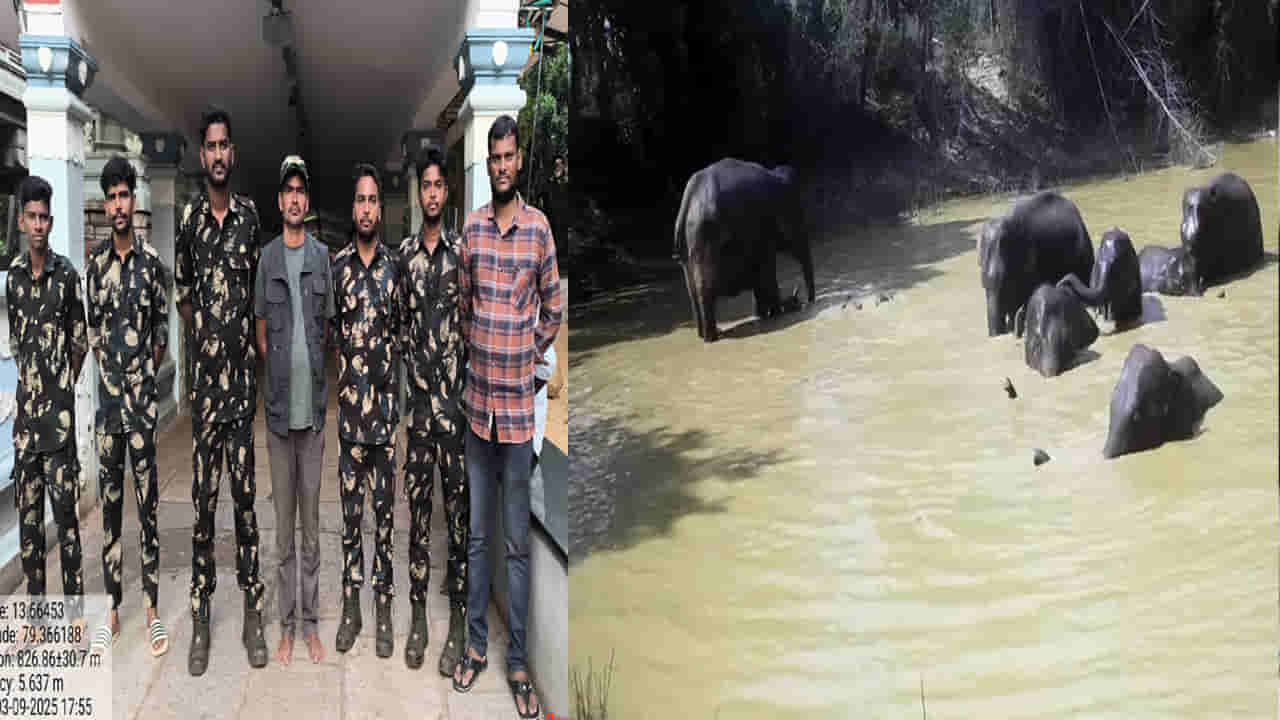 Andhra Pradesh: అదిరిపోయే ప్లాన్ అంటే ఇదే.. ఏనుగులు, చిరుతలపై ఏఐతో ఫోకస్.. ఎలా ట్రాక్ చేస్తారంటే..?