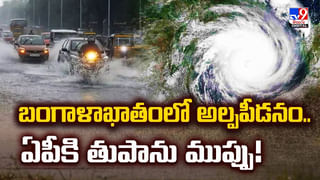 Andhra Rains: తీవ్ర అల్పపీడనం ఎఫెక్ట్.. విలయ ప్రళయ రూపం దాల్చిన వరుణుడు