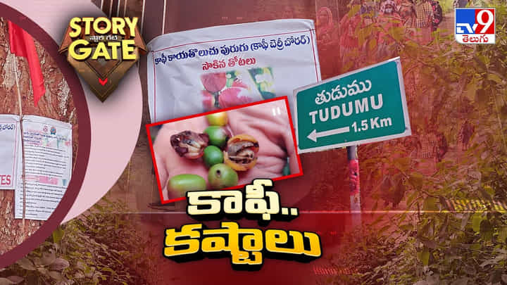 Araku Coffee: ప్రమాదంలో అరకు కాఫీ తోటలు Araku Coffee: ప్రమాదంలో అరకు కాఫీ తోటలు