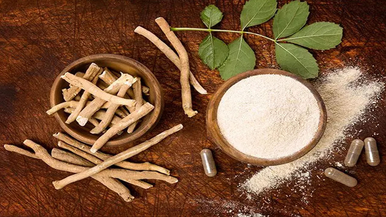 ఆయుర్వేద రారాజు అశ్వగంధ.. వీళ్లకు విషంతో సమానం..!  నిపుణులు ఏం చెబుతున్నారంటే..