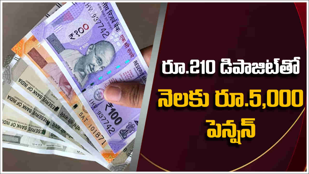 Pension Scheme: కేవలం రూ.210 డిపాజిట్ చేస్తే చాలు నెలకు రూ.5,000 పెన్షన్‌!