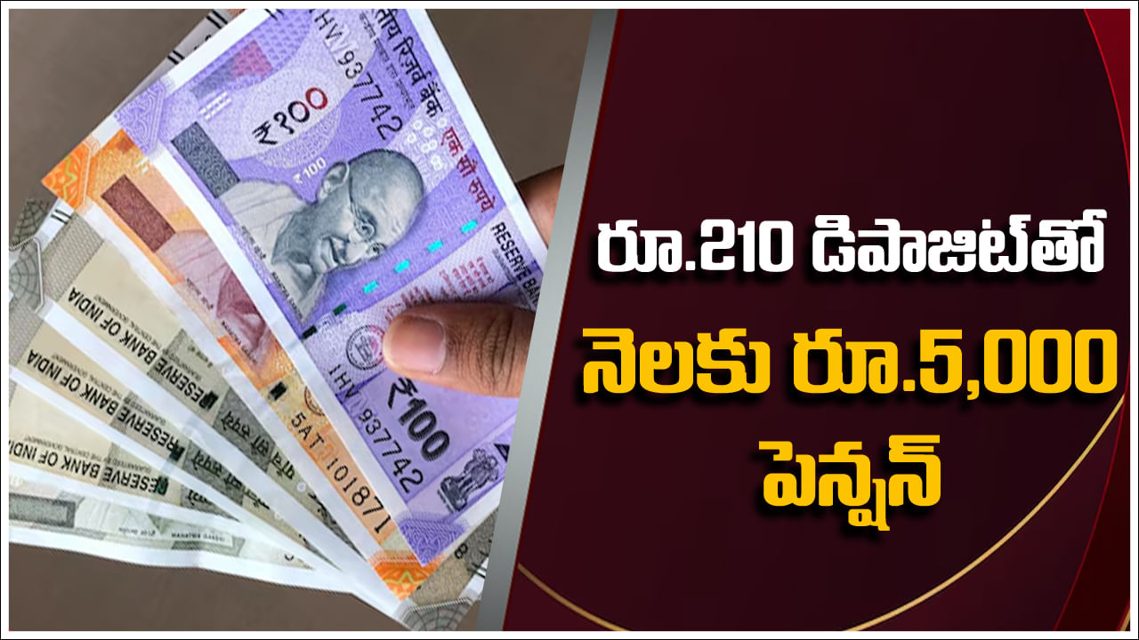 Pension Scheme: కేవలం రూ.210 డిపాజిట్ చేస్తే చాలు నెలకు రూ.5,000 పెన్షన్‌!