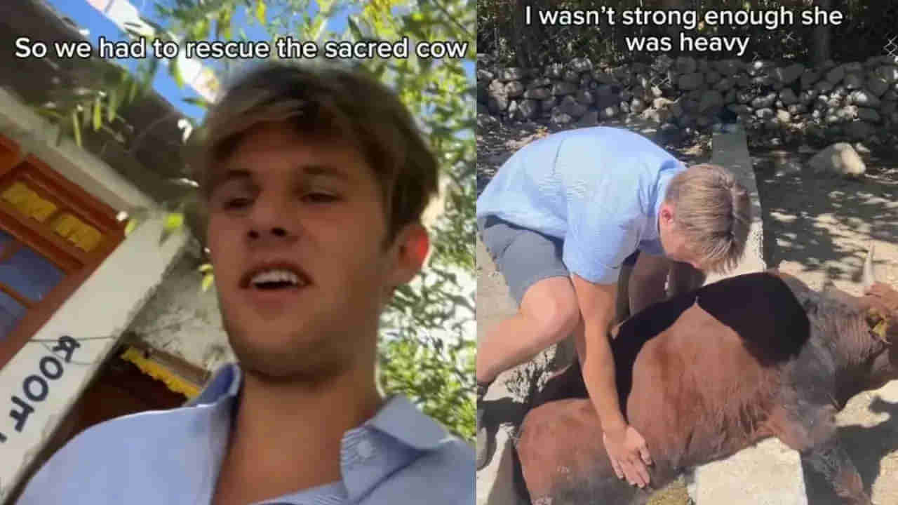 Video: గోమాతను రక్షించిన ఆస్ట్రేలియన్ కుర్రాడు! చేతికి గాయమైనా..