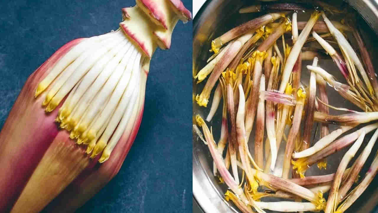 Miracle medicine: ఇది సాధారణ పుష్పం కాదు..! మధుమేహ వ్యాధిగ్రస్తులకు దివ్యౌషధం..కనిపిస్తే అస్సలు వదలకండి