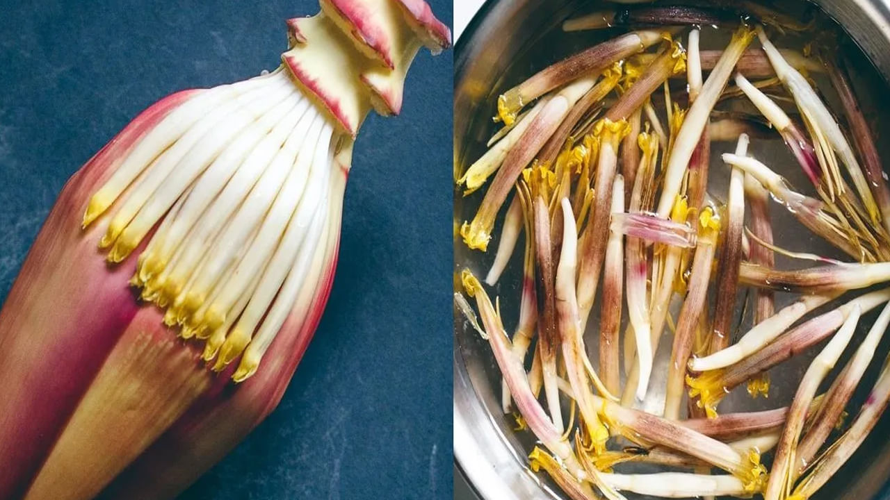 Miracle medicine: ఇది సాధారణ పుష్పం కాదు..! మధుమేహ వ్యాధిగ్రస్తులకు దివ్యౌషధం..కనిపిస్తే అస్సలు వదలకండి