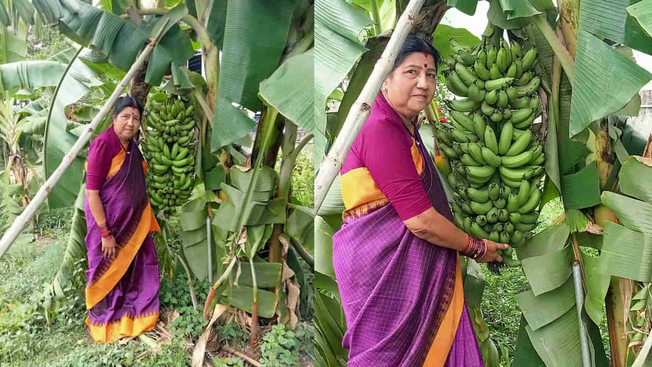 Andhra: ఈమె గుర్తున్నారా.. ఇప్పుడు తన ఇంట్లో పెంచిన అరటి చెట్టు కారణంగా వార్తల్లోకి