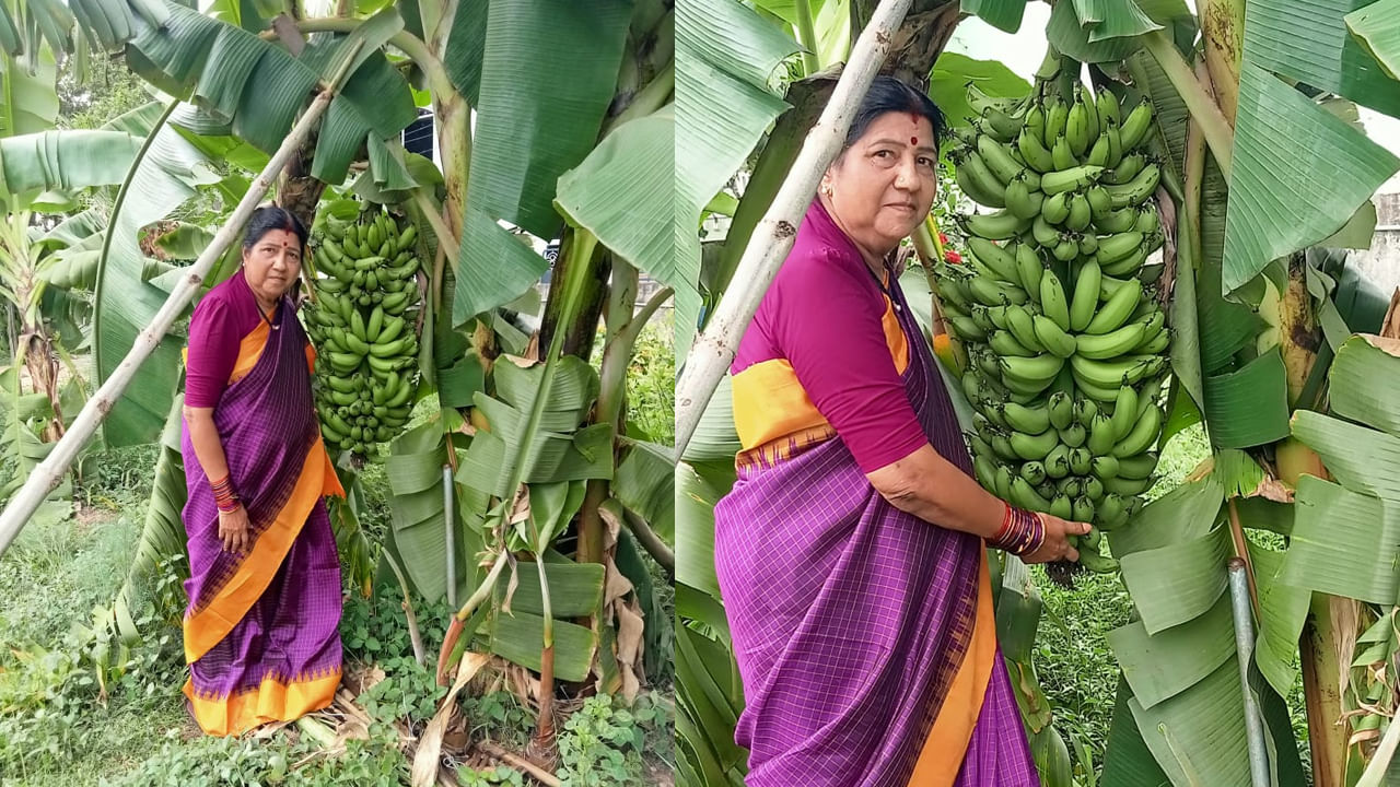 Andhra: ఈమె గుర్తున్నారా.. ఇప్పుడు తన ఇంట్లో పెంచిన అరటి చెట్టు కారణంగా వార్తల్లోకి
