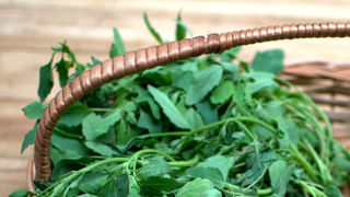 చీరలో చందమామలా.. అతిలోక సుందరి గారాలపట్టీ అందానికి ఫిదా అవ్వాల్సిందే!