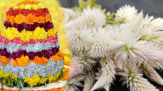 Indrakeeladri: దసరా ఉత్సవాలకు ముస్తాబైన ఇంద్రకీలాద్రి.. ఈ ఏడాది 11రోజులు 11 అవతారాల్లో అమ్మవారి దర్శనం..