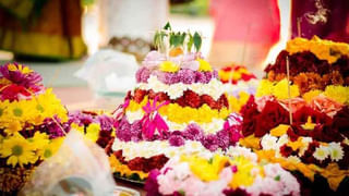 బతుకమ్మ పువ్వు.. గునుగు పూల ఉపయోగాలు తెలిస్తే అవాక్కు అవుతారు!