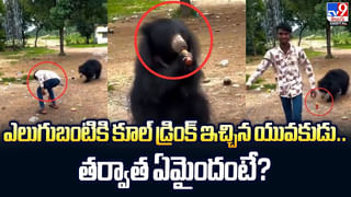 బెడ్‌పై పడుకుందామని దుప్పటి తీసిన వ్యక్తి… దెబ్బకు పరుగో పరుగు