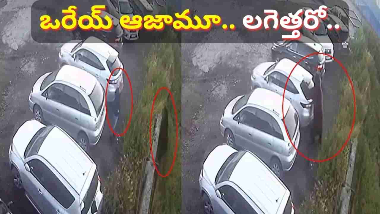 Watch Video: ఒరేయ్ ఆజామూ.. లగెత్తరో.. పొదల్లోంచి అకస్మాత్తుగా దూసుకొచ్చిన ఎలుగుబంటి.. ఆ వ్యక్తి ఏం చేశాడో చూడండి