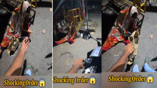 Viral Video: నడిరోడ్డుపై రెచ్చిపోయి పొట్టుపొట్టుగా కొట్టుకున్న మూషికాలు.. చూస్తే నవ్వు ఆగదు..!