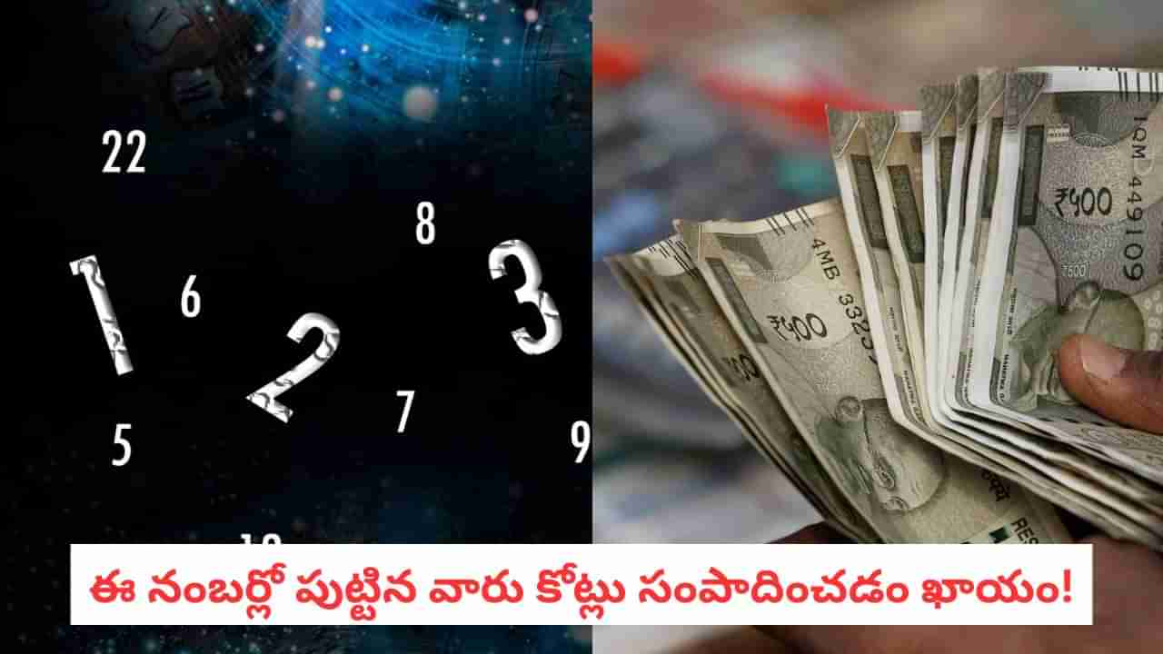 Numerology: మీ పుట్టిన తేదీ చెప్పే సీక్రెట్.. జీవితంలో డబ్బు, కీర్తి రావాలంటే ఈ ఉద్యోగమే చేయాలి!