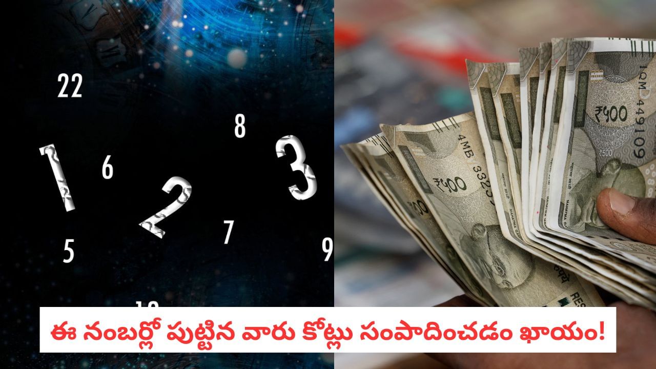 Numerology: మీ పుట్టిన తేదీ చెప్పే సీక్రెట్.. జీవితంలో డబ్బు, కీర్తి రావాలంటే ఈ ఉద్యోగమే చేయాలి!