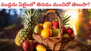 Paan Leaf Benefits: ఈ 7 మందికి తమలపాకు ఆకు ఒక వరం.. వారి సమస్యలకు లక్ష్మణ రేఖ..! వారు ఖచ్చితంగా తినాలట..