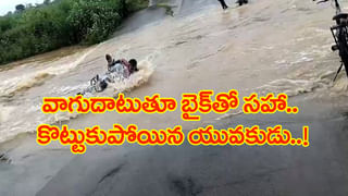 ఏంది ఎద్దు బ్రో..! రోడ్ల మీద మీ కొట్లాట.. పాపం ఆటోఅన్న ఆగమైపోయిండు