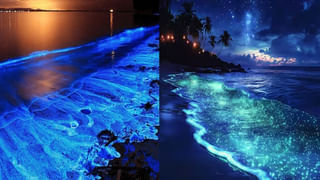 ఓట్స్ మంచివే.. కానీ వీళ్లు ఎట్టి పరిస్థితుల్లో తినకూడదు..! ఎవరు దూరంగా ఉండాలో తెలుసా?