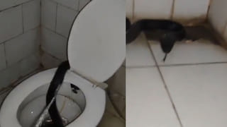 వదిలించుకోవాలనీ.. 15 రోజుల ఆడ బిడ్డను సజీవంగా పాతిపెట్టిన కన్నోళ్లు..!