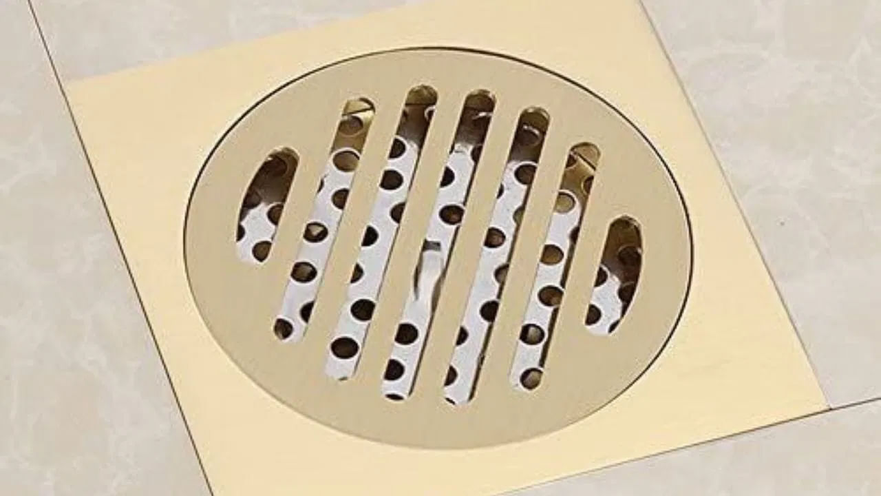 వాస్తు శాస్త్రం ప్రకారం, ఇంట్లో మూసుకుపోయిన మురుగు కాలువ ఉంటే అది వాస్తు దోషానికి కారణమవుతుందని వాస్తు నిపుణులు చెబుతున్నారు. ఈ వాస్తు దోషం కారణంగా మన జీవితంలో అస్థిరత, ఇబ్బందులు పెరుగడం వంటి సమస్యలు ఎదురవుతాయి. అందువల్ల, ఇంట్లో మూసుకుపోయిన మురుగు కాలువను అశుభంగా భావిస్తారు.