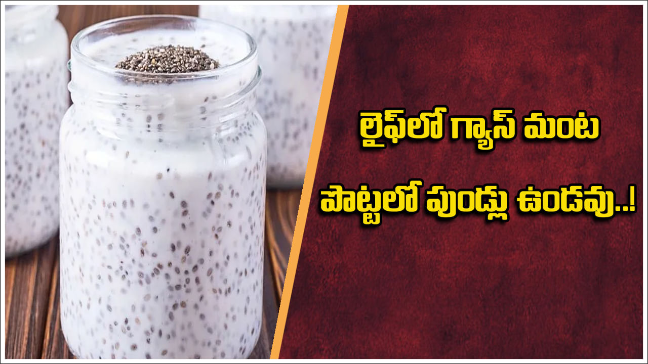 Acidity: గ్యాస్ ట్రబుల్ అసిడిటీ తగ్గాలంటే.. ఇది బెస్ట్ హోం రెమిడీ.. లైఫ్లో కడుపు మంట పొట్టలో పుండ్లు ఉండవు! Acidity: గ్యాస్ ట్రబుల్ అసిడిటీ తగ్గాలంటే.. ఇది బెస్ట్ హోం రెమిడీ.. లైఫ్లో కడుపు మంట పొట్టలో పుండ్లు ఉండవు!