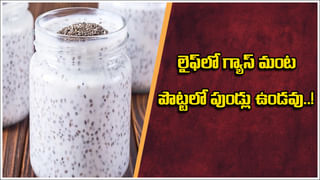 Health Tips: పది రోజుల్లో స్లిమ్ అవ్వాలనుకుంటున్నారా? అయితే వెల్లుల్లిని ఇలా వాడి చూడండి..!