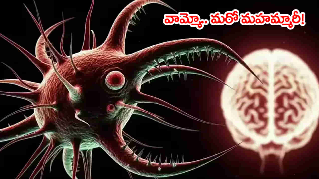 Brain Eating Amoeba: వేగంగా వ్యాపిస్తున్న మెదడు తినే అమీబా కేసులు.. 19 మంది మృతి! దీని లక్షణాలు