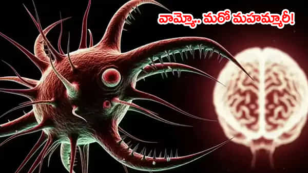 Brain Eating Amoeba: వేగంగా వ్యాపిస్తున్న మెదడు తినే అమీబా కేసులు.. 19 మంది మృతి! దీని లక్షణాలు