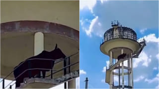 వదిలించుకోవాలనీ.. 15 రోజుల ఆడ బిడ్డను సజీవంగా పాతిపెట్టిన కన్నోళ్లు..!