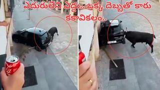 అర్ధరాత్రి టార్చ్ వేసి ట్రాక్‌పై పరుగులు.. రైలులో నుంచి కుప్పలు తెప్పలుగా..