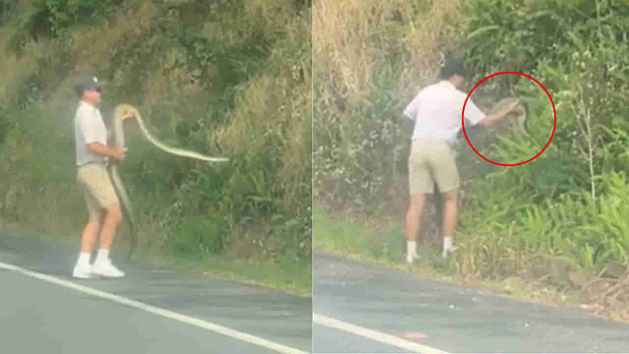 Viral Video: వామ్మో... నీ ధైర్యానికో దండంరా బాబు... మాటల్లో కాదు చేతల్లో చూపించాడుగా