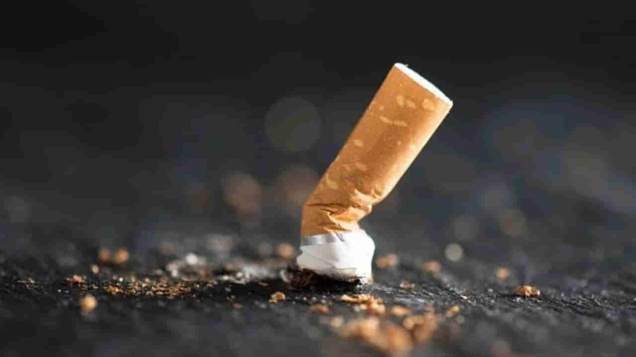 Smoking Vs Diabetes: సిగరేట్‌ మానేస్తే డయాబెటిస్‌ వ్యాధి నయమవుతుందా? డాక్టర్లు ఏం చెబుతున్నారంటే..