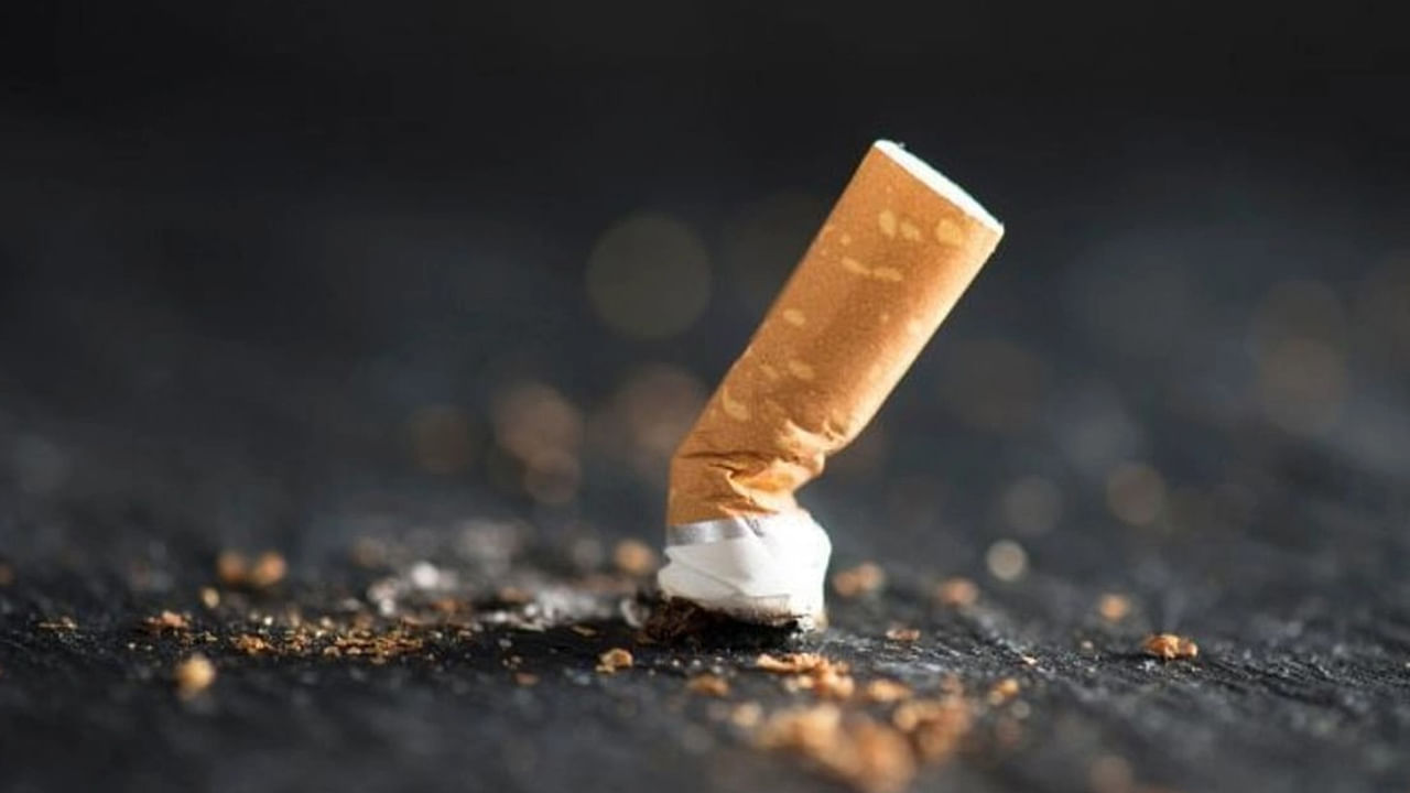 Smoking Vs Diabetes: సిగరేట్ మానేస్తే డయాబెటిస్ వ్యాధి నయమవుతుందా? డాక్టర్లు ఏం చెబుతున్నారంటే..