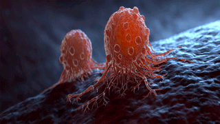 Milk Storage: పాలు తాజాగా ఉండాలని ఫ్రిజ్‌లో పెడుతున్నారా?.. ఈ పొరపాట్లు చేయకండి..