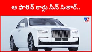 Optical illusion: మీకో సవాల్.. ఈ చిత్రంలోని పులిని 22 సెకన్లలో గుర్తిస్తే.. మీరే తోపులు!