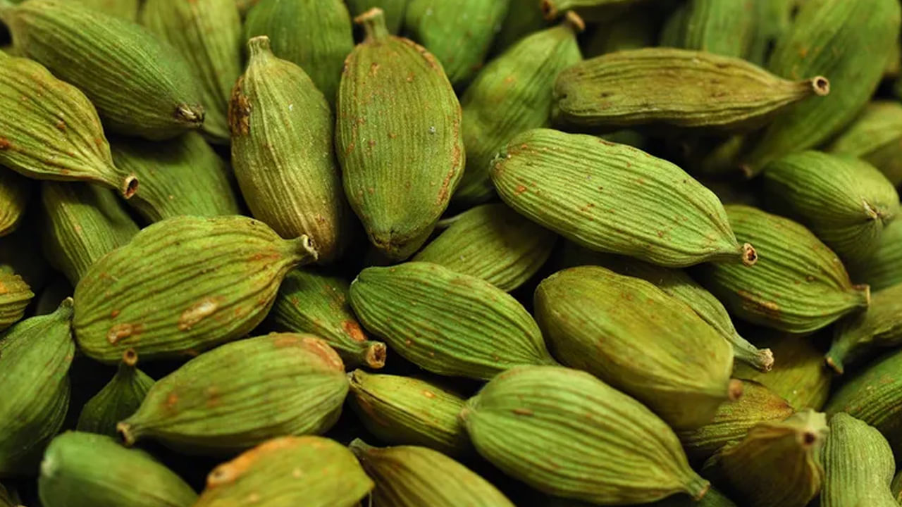 జీర్ణక్రియ మెరుగుపడుతుంది: నేటి బిజీ జీవితంలో తప్పుడు ఆహారపు అలవాట్ల కారణంగా జీర్ణ సమస్యలు సర్వసాధారణం అయ్యాయి. రాత్రి భోజనం తర్వాత రెండు ఆకుపచ్చ యాలకులు నమలడం వల్ల జీర్ణవ్యవస్థ బలపడుతుంది. యాలకులు ఆహారాన్ని జీర్ణం చేసే ఎంజైమ్‌లను ప్రేరేపించే అంశాలను కలిగి ఉన్నాయి. ఈ కారణంగా ఆహారం త్వరగా , పూర్తిగా జీర్ణమవుతుంది. ఇది గ్యాస్, ఆమ్లత్వం, ఉబ్బరం వంటి సమస్యల నుంచి ఉపశమనం పొందడంలో కూడా సహాయపడుతుంది.
