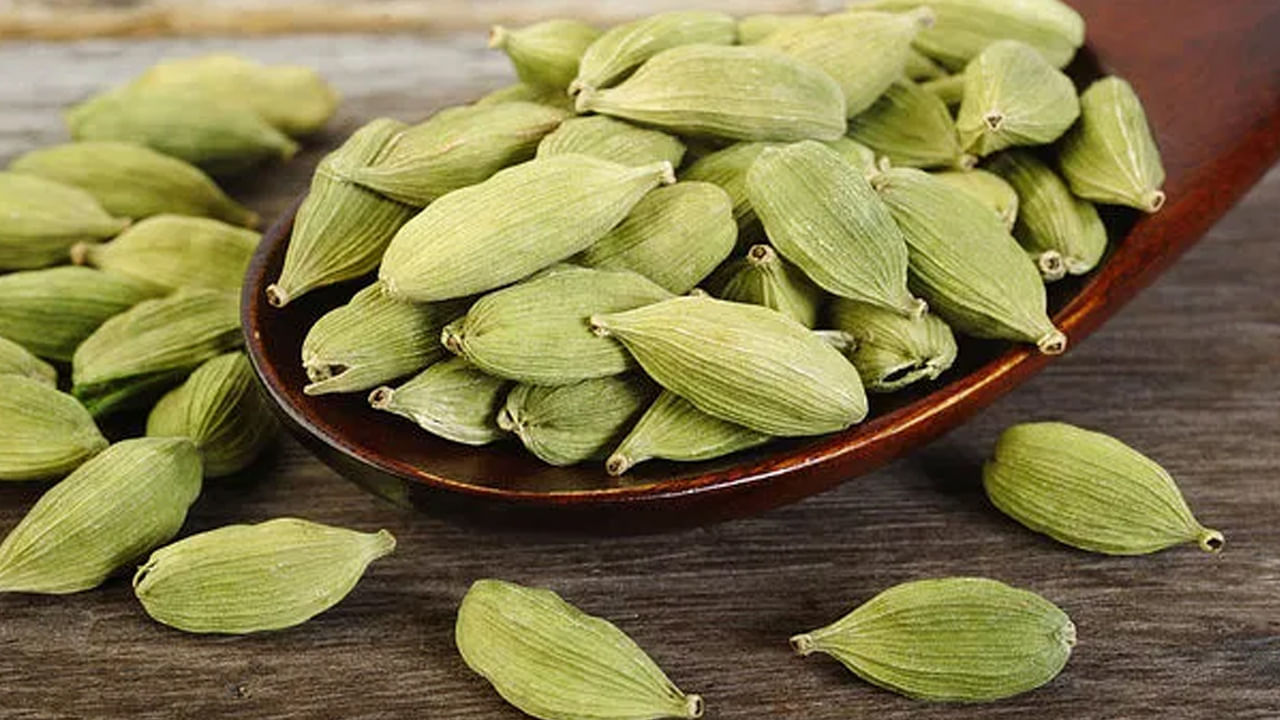 నిద్ర లేమి సమస్య నుంచి ఉపశమనం: ఈ రోజుల్లో ఒత్తిడి ప్రతి ఒక్కరి జీవితంలో ఒక భాగంగా మారింది. నిద్రను కూడా ప్రభావితం చేస్తుంది. రాత్రి భోజనం తర్వాత యాలకులు నమలడం వల్ల మనస్సు ప్రశాంతంగా ఉంటుంది. యాలకులు శరీరంలో 'సెరోటోనిన్' అనే హార్మోన్‌ను పెంచే కొన్ని సమ్మేళనాలను కలిగి ఉంటాయి. సెరోటోనిన్ అనేది సహజమైన మూడ్ బూస్టర్. ఇది ఒత్తిడిని తగ్గించడంలో , మంచి ,గాఢ నిద్రను పొందడంలో సహాయపడుతుంది.