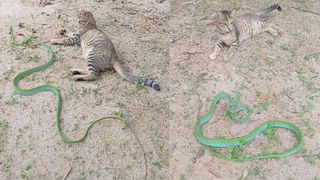 Photo Puzzle: కాస్కో నా రాజా.! దమ్ముంటే ఈ ఫోటోలో ’88’ నెంబర్ కనిపెట్టగలరా.?