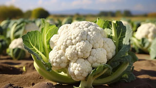 Lifestyle: టీ Vs కాఫీ: లేవగానే ఏది తాగడం ఆరోగ్యానికి మంచిది?