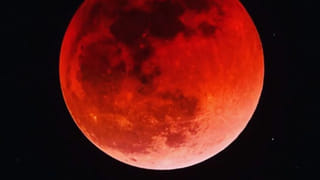 Chanakya Niti: ఈ పక్షులు, జంతువుల గుణాలు నేర్చుకోండి.. విజయం మీ పాదాలను ముద్దాడుతుంది..