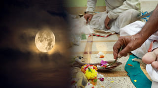 Chanakya Niti: ఈ పక్షులు, జంతువుల గుణాలు నేర్చుకోండి.. విజయం మీ పాదాలను ముద్దాడుతుంది..