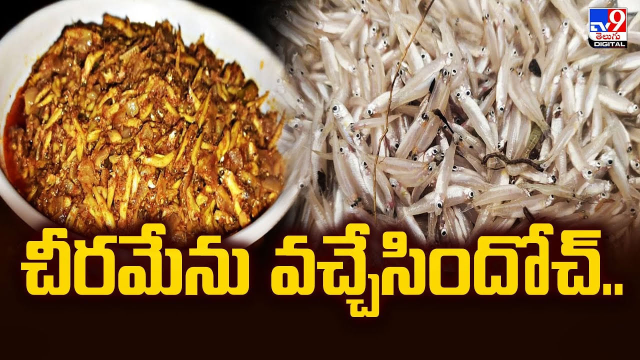 Cheeramenu Fish: పులస వెళ్లింది.. చీరమేను వచ్చింది..