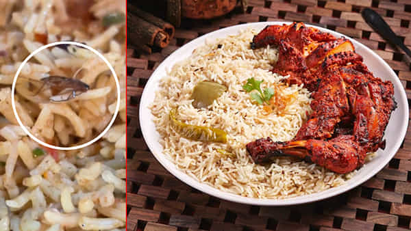 Chicken Biryani: రేయ్ ఏంట్రా ఇది.. బిర్యానీ తింటుండగా షాకింగ్ సీన్.. ప్లేట్లో కనిపించింది చూసి..