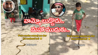 15ఏళ్ల బాలికపై పగబట్టిన పాము.. ఇంట్లో తిష్టవేసి 40 రోజుల్లో 12 సార్లు కాటు.. చివరికి ఏం చేశారంటే..