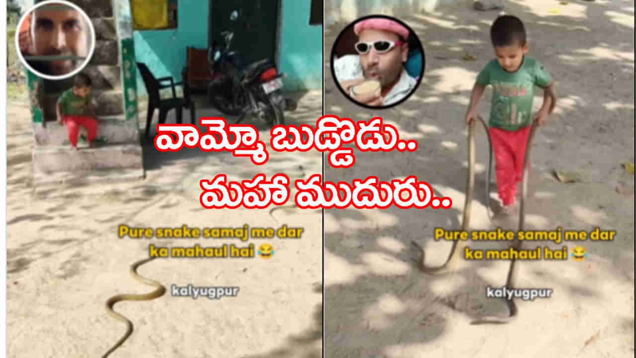 Viral Video: బాబోయ్ మరీ ఇలా ఉన్నావేంట్రా..? రెండు చేతుల్లో రెండు పాములు పట్టుకుని హల్‌చల్‌...