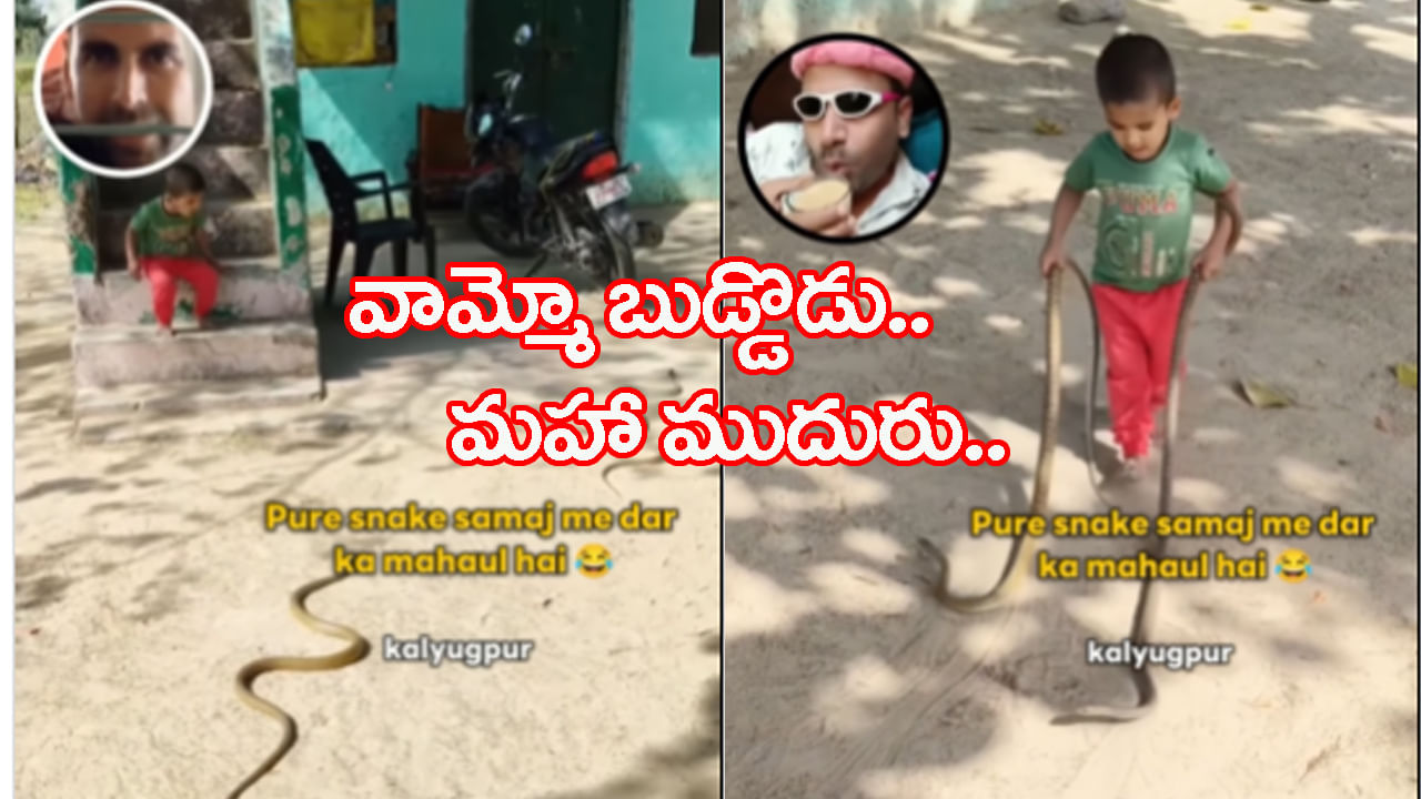 Viral Video: బాబోయ్ మరీ ఇలా ఉన్నావేంట్రా..? రెండు చేతుల్లో రెండు పాములు పట్టుకుని హల్‌చల్‌...